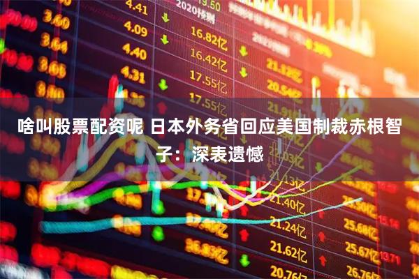 啥叫股票配资呢 日本外务省回应美国制裁赤根智子：深表遗憾